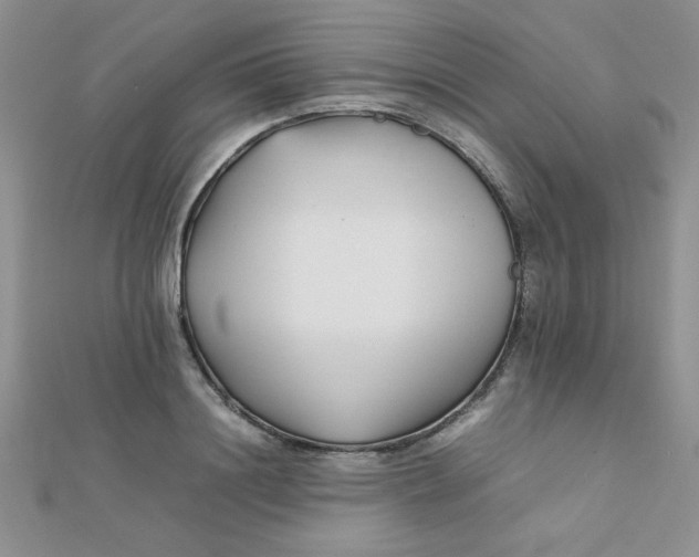 X0000112370844200909031930