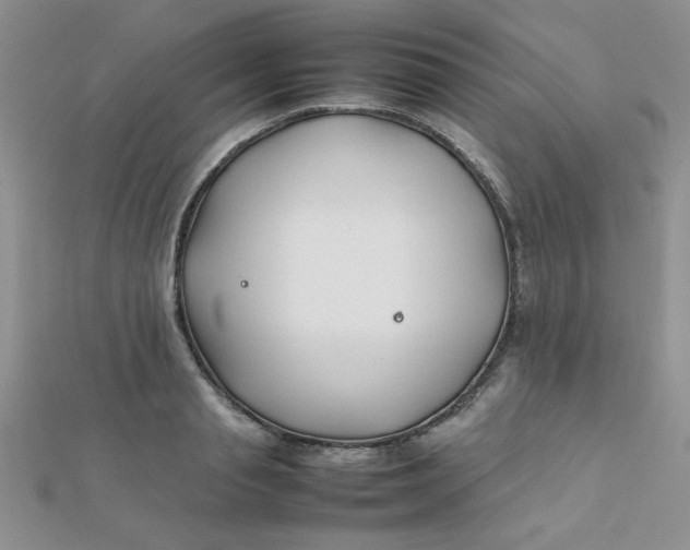 X0000112370845200909031930