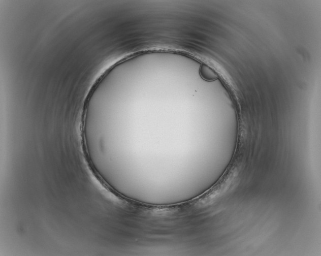 X0000112370847200909031930