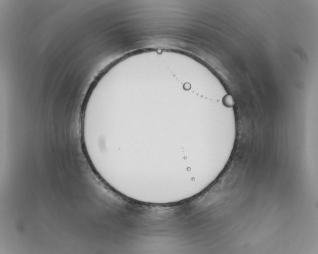 X0000112370848200909031930