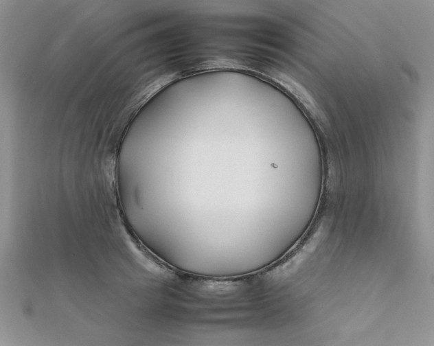 X0000112370849200909031930