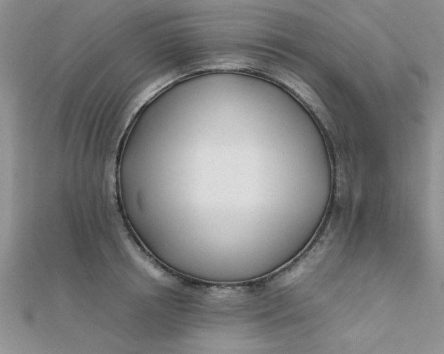 X0000112370850200909031930