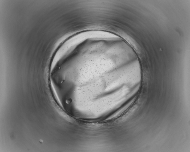 X0000112370854200909031930