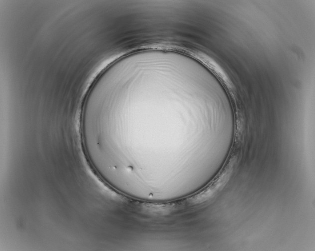 X0000112370855200909031930