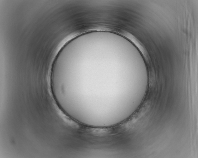 X0000112370861200909031930