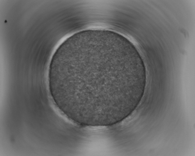 X0000112370864200909031930