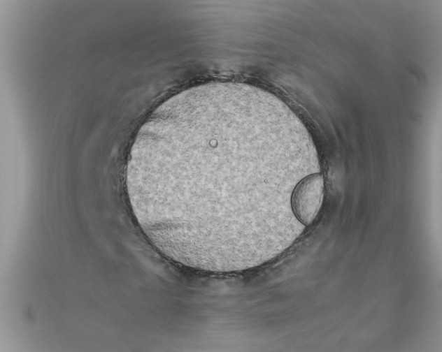 X0000112370865200909031929