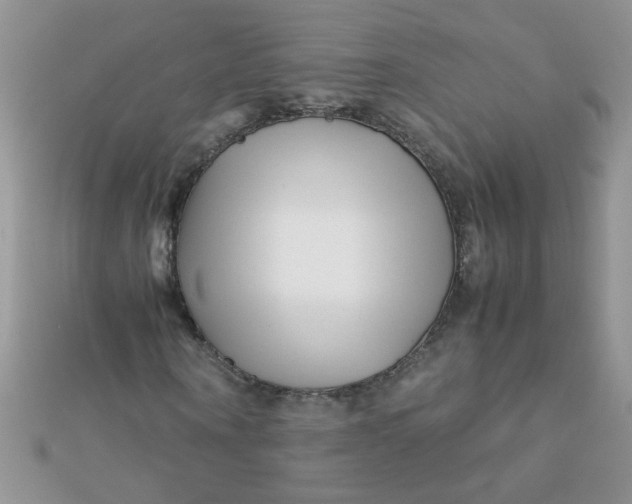 X0000112370866200909031929