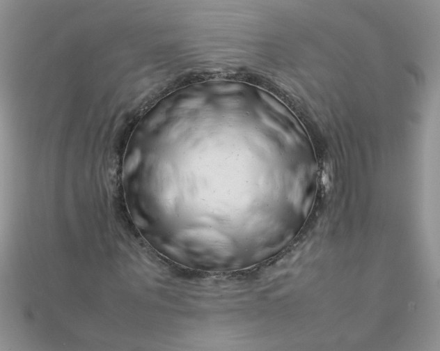 X0000112370867200909031929