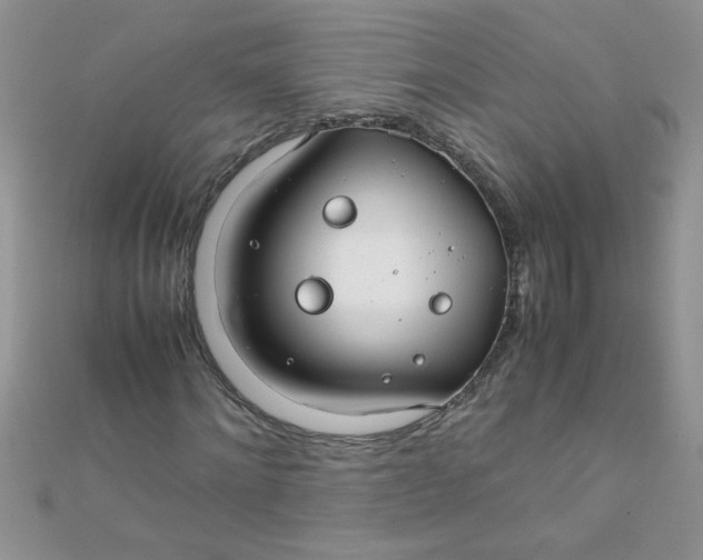 X0000112370868200909031929