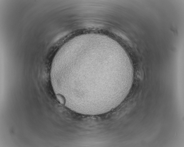 X0000112370869200909031929