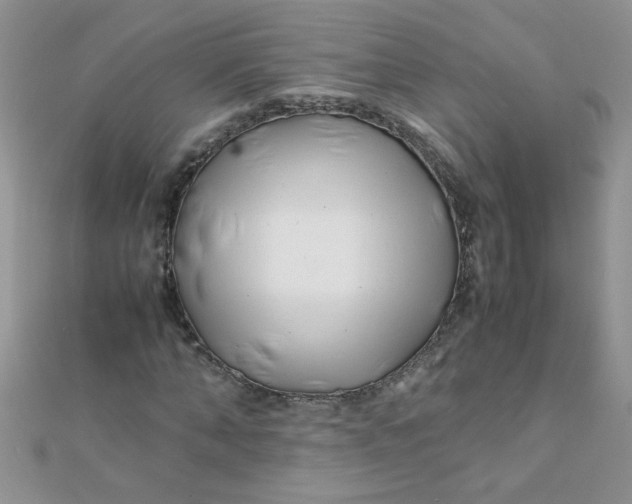 X0000112370870200909031929