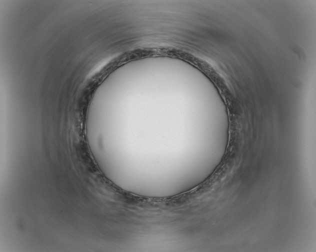 X0000112370871200909031929