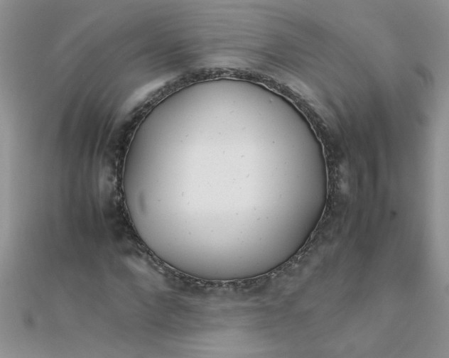 X0000112370872200909031929