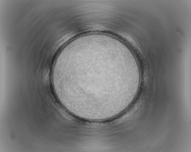 X0000112370873200909031929