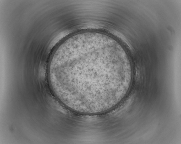 X0000112370874200909031929