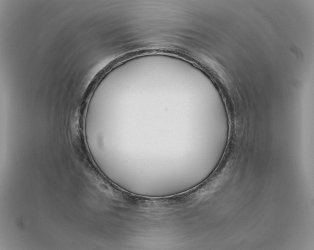 X0000112370875200909031929