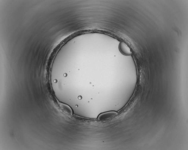 X0000112370876200909031929