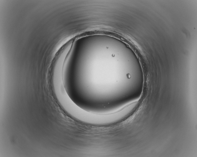 X0000112370877200909031929