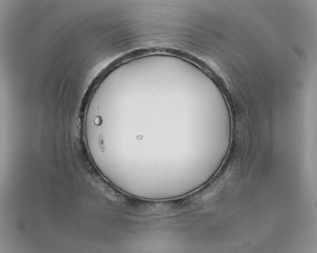 X0000112370879200909031929