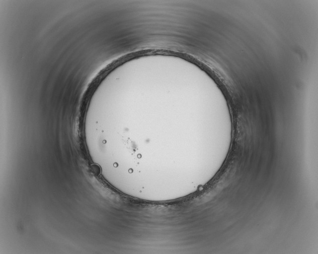 X0000112370880200909031929