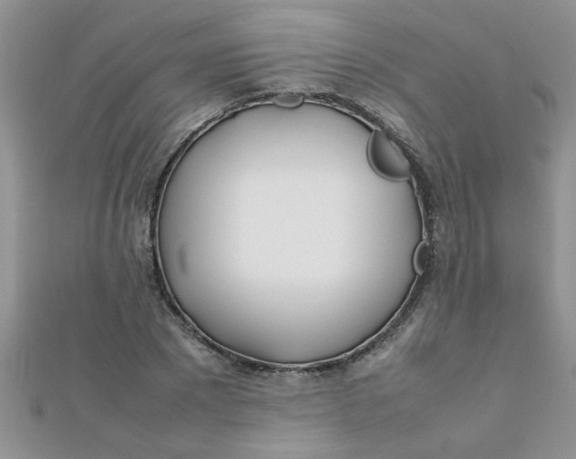 X0000112370881200909031929