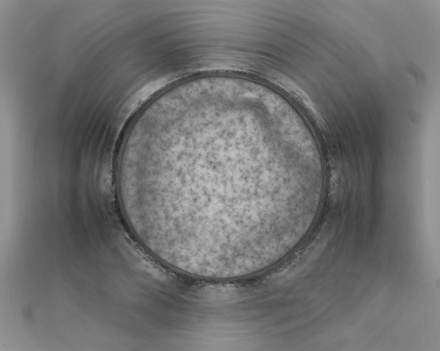 X0000112370882200909031929