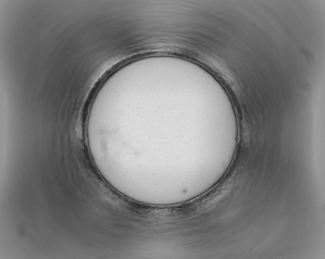 X0000112370883200909031929