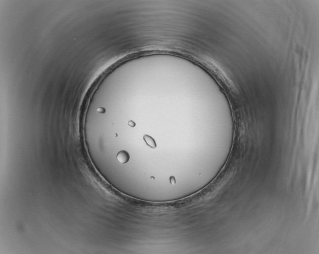 X0000112370884200909031929