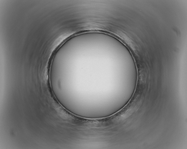 X0000112370885200909031929