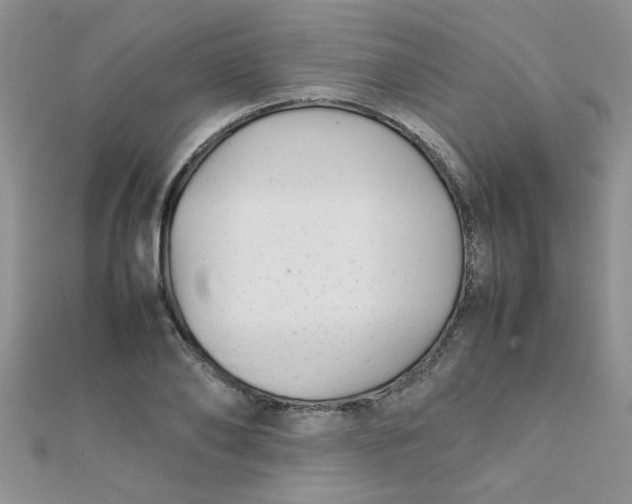 X0000112370886200909031929