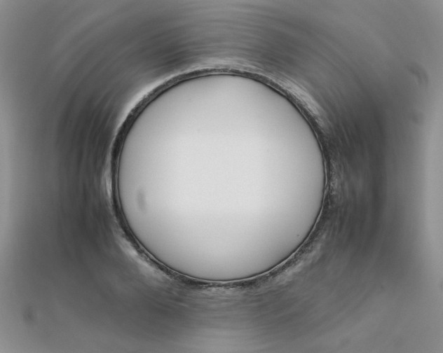 X0000112370888200909031929