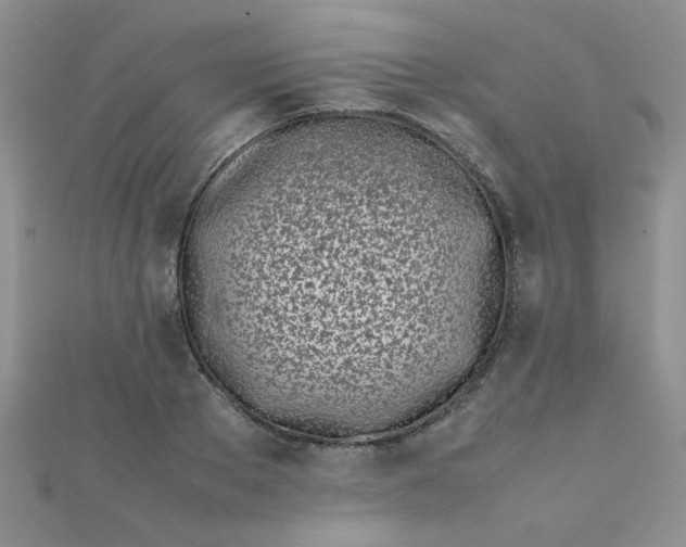 X0000112370889200909031929