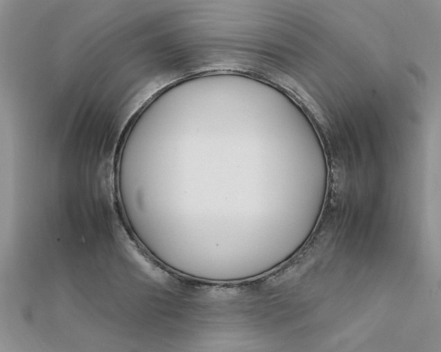 X0000112370890200909031929