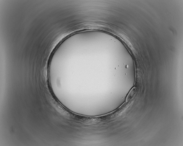 X0000112370891200909031929