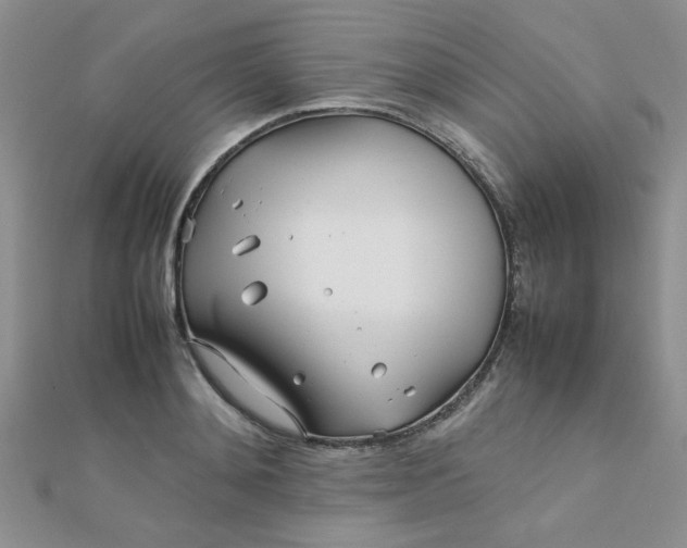 X0000112370892200909031929