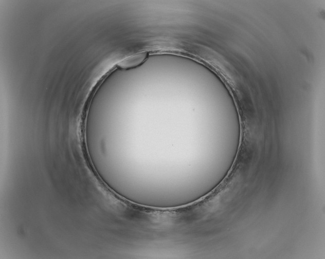 X0000112370893200909031929