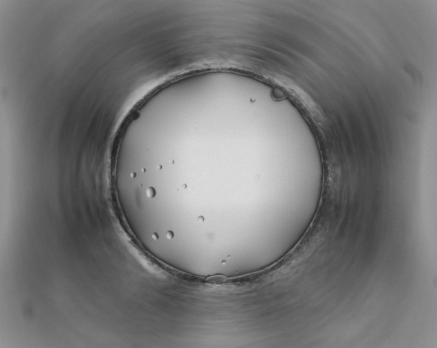 X0000112370894200909031929