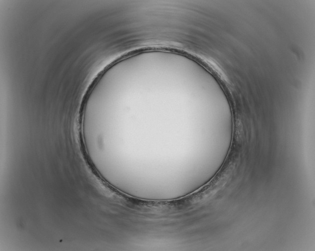 X0000112370895200909031929