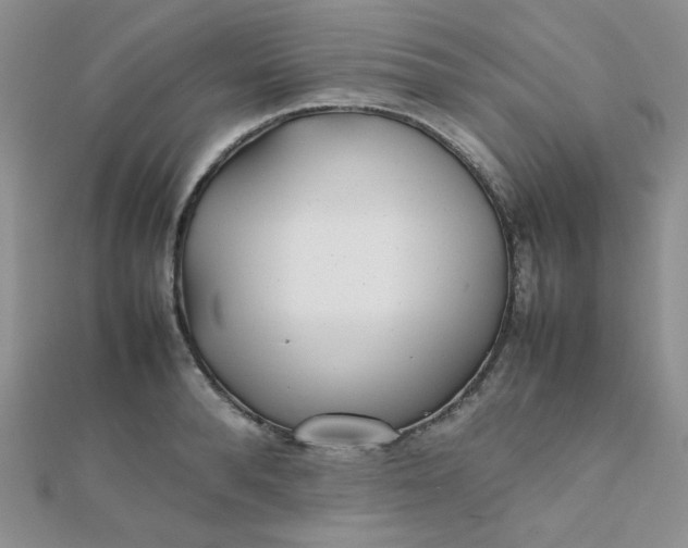 X0000112370896200909031929