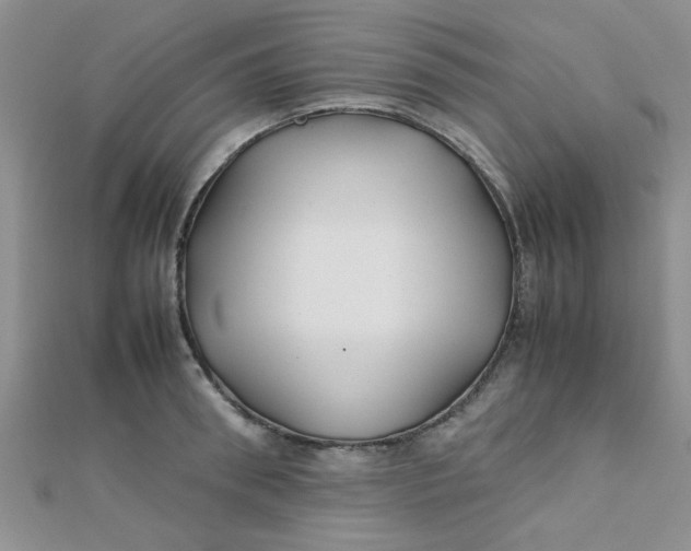 X0000112370898200909031929