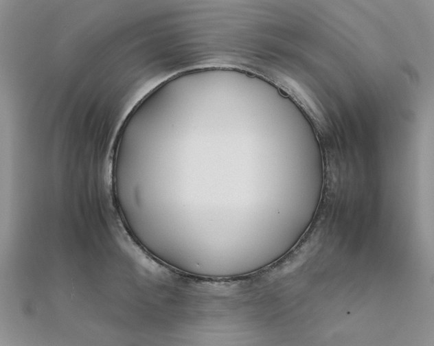 X0000112370900200909031929