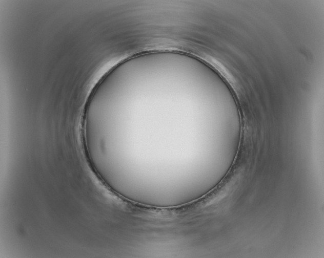 X0000112370901200909031929