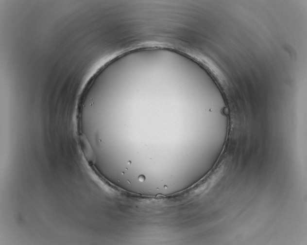 X0000112370902200909031929