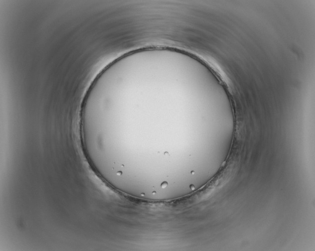 X0000112370903200909031929