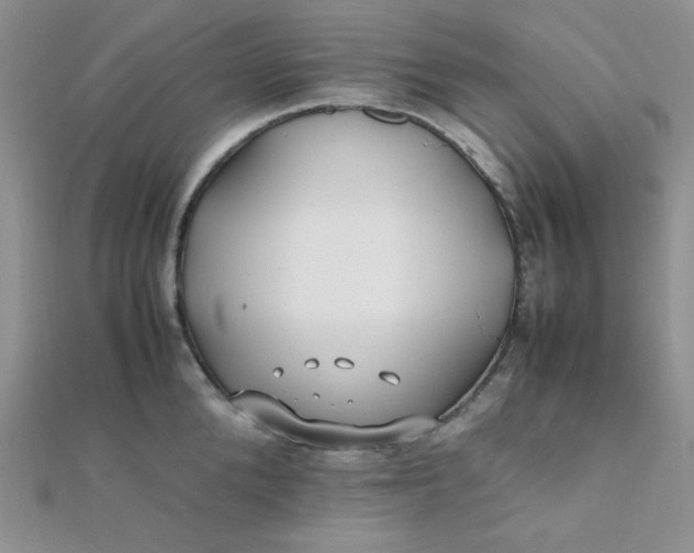 X0000112370904200909031929