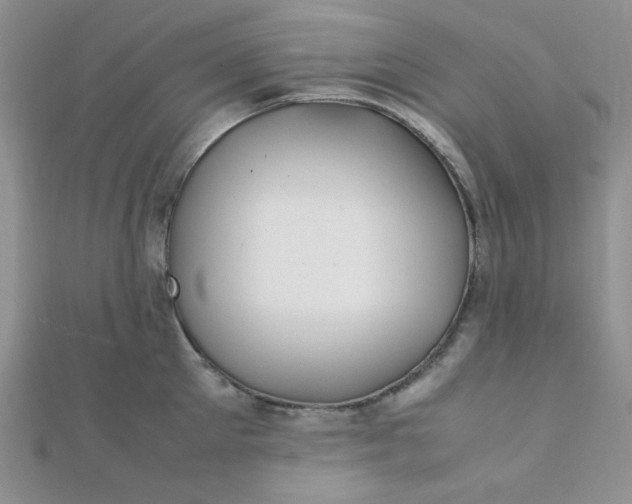 X0000112370905200909031929