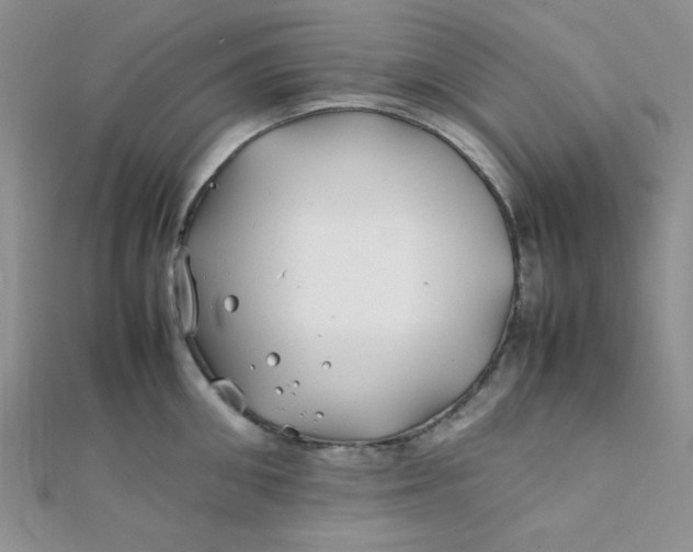 X0000112370906200909031929