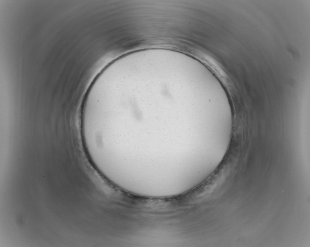 X0000112370907200909031929