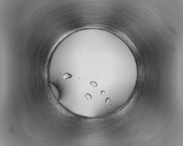 X0000112370908200909031929